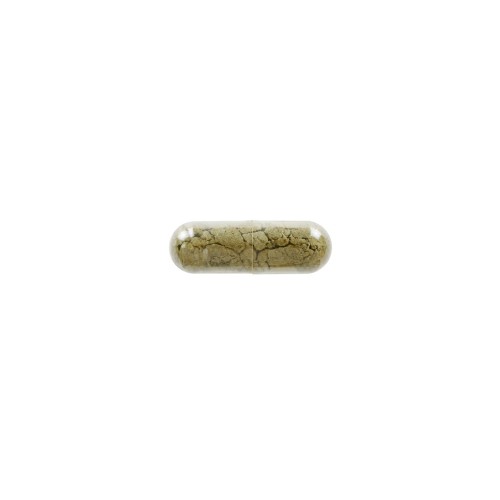 c2943f8dac2d9e2fecafaa59e960175f