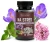 beefc62f2a3ed42c2a64067ed4ee67c2