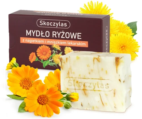 b2e40700aba7d31dbfa02ede74a03860