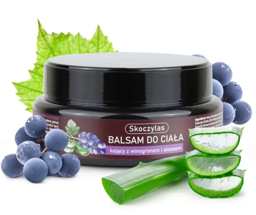 fdb2a27072600b94b96b13190583fdc6